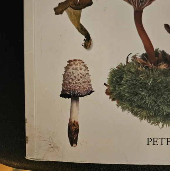 Mushroom Guide and Identifier Book - Picture 3 of 8